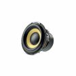 Focal SUB 25KXE Kevlar 10  Subwoofer Hot on Sale